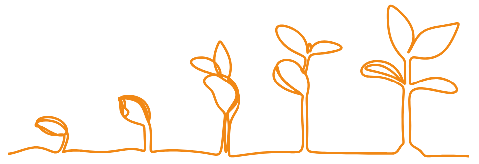 Wachstums one line